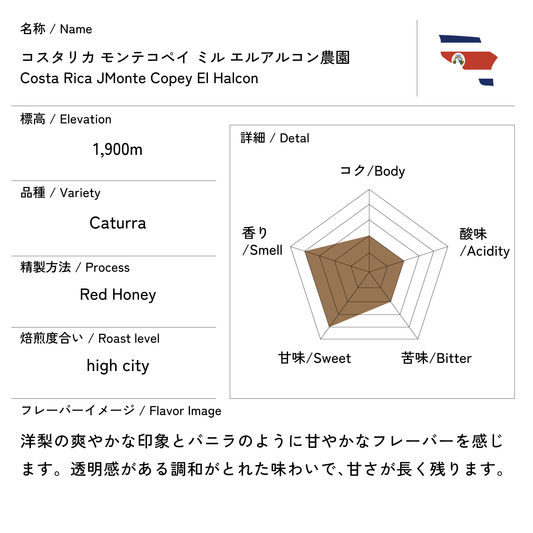 コスタリカ モンテコペイ エル アルコン 200g