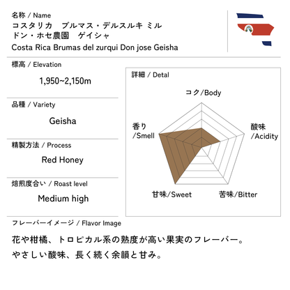 コスタリカ ブルマス デルスルキ ミル ドン・ホセ農園　ゲイシャ　200g