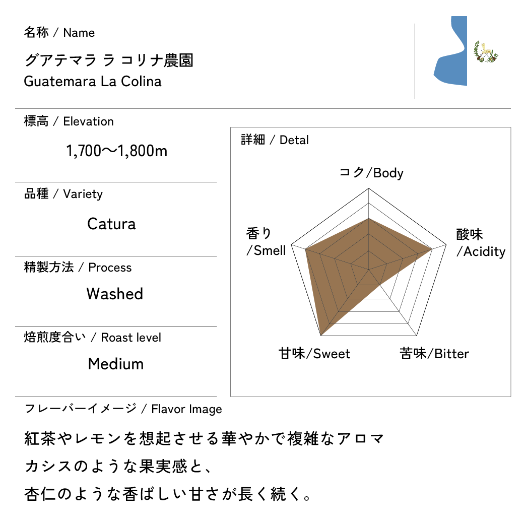 グアテマラ ラ コリナ農園　200g